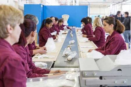  - inspeccion de productos, inspeccion de mercancia